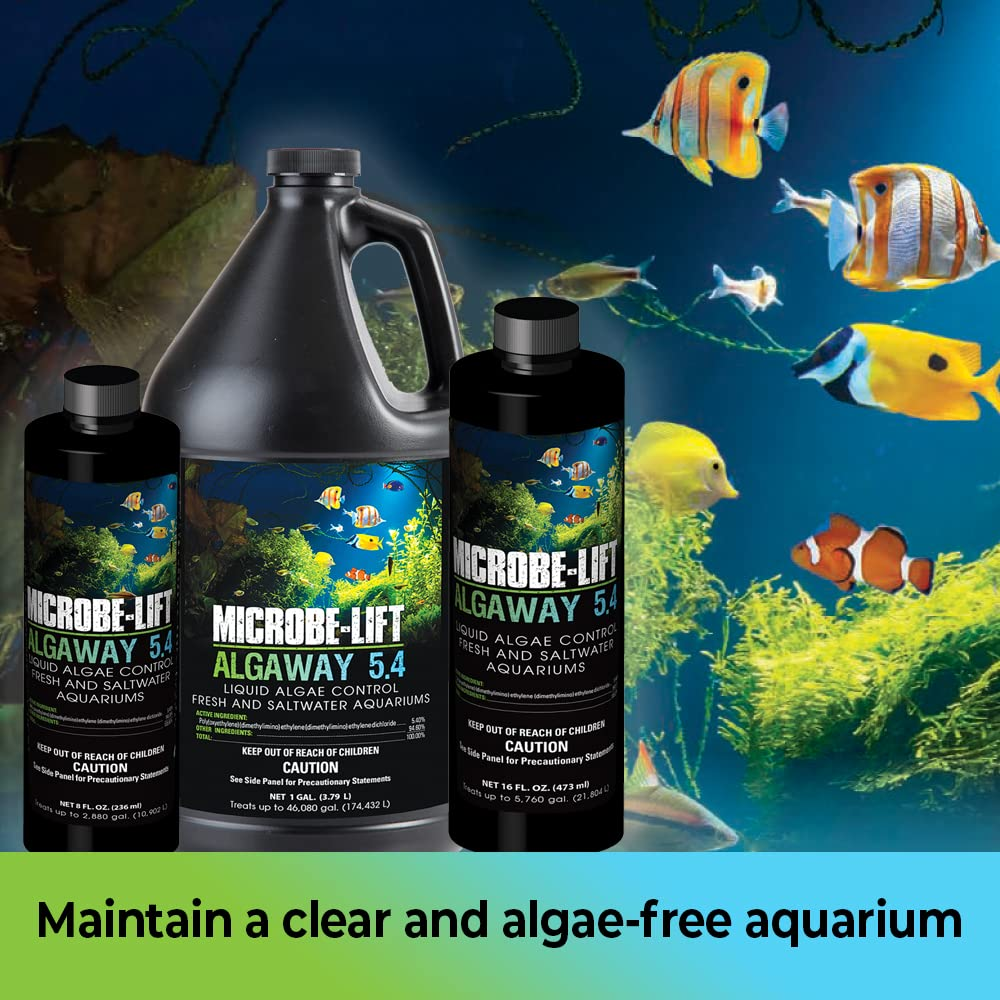 MICROBE-LIFT Algaway 5.4 Liquid Algae Control | Clears Green Water | Eradicates String Algae | Fish & Plant Safe | FW+SW
