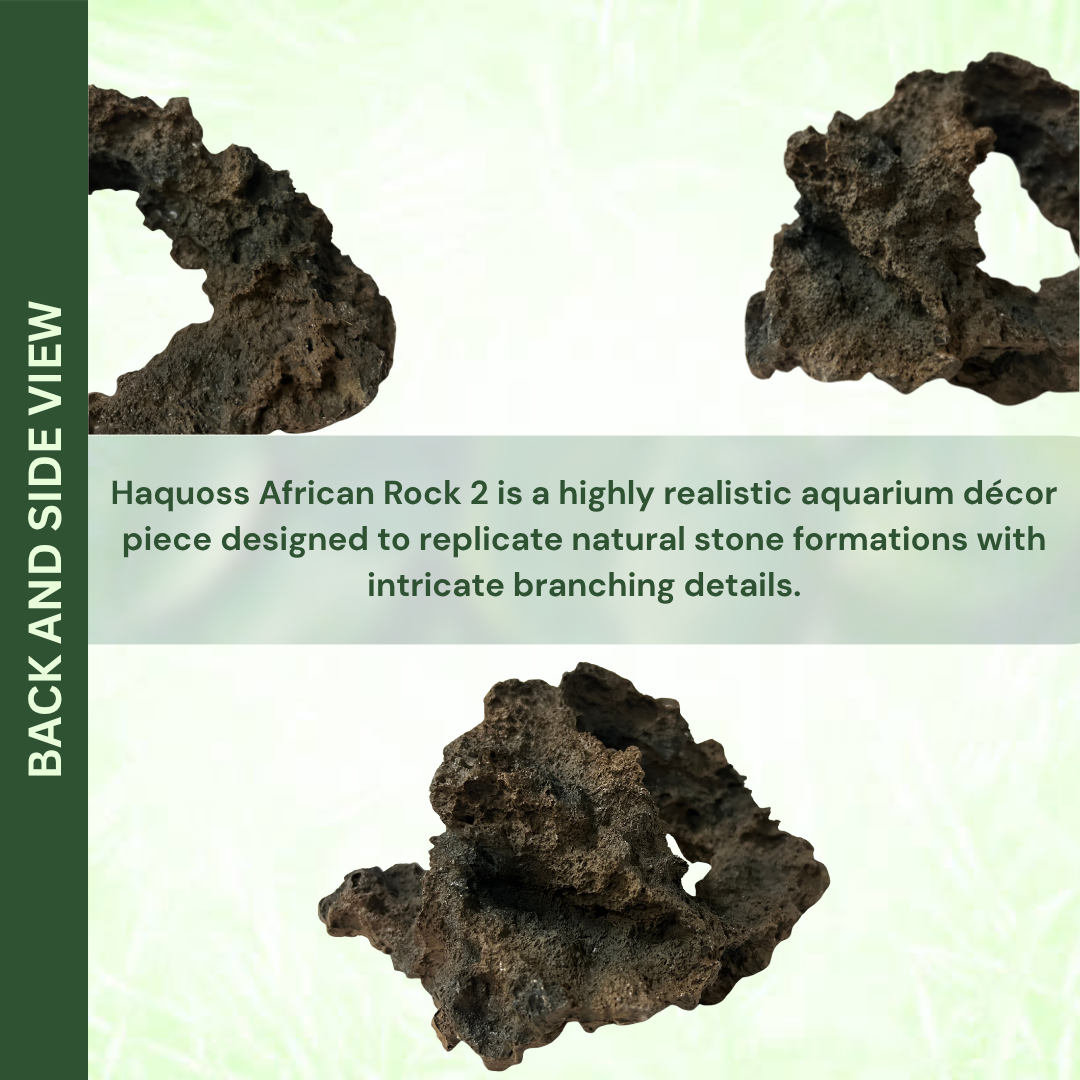 African Rock 2
