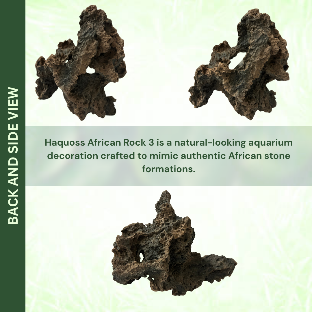 African Rock 3