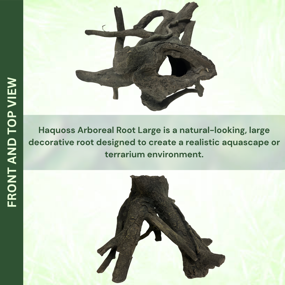 Large