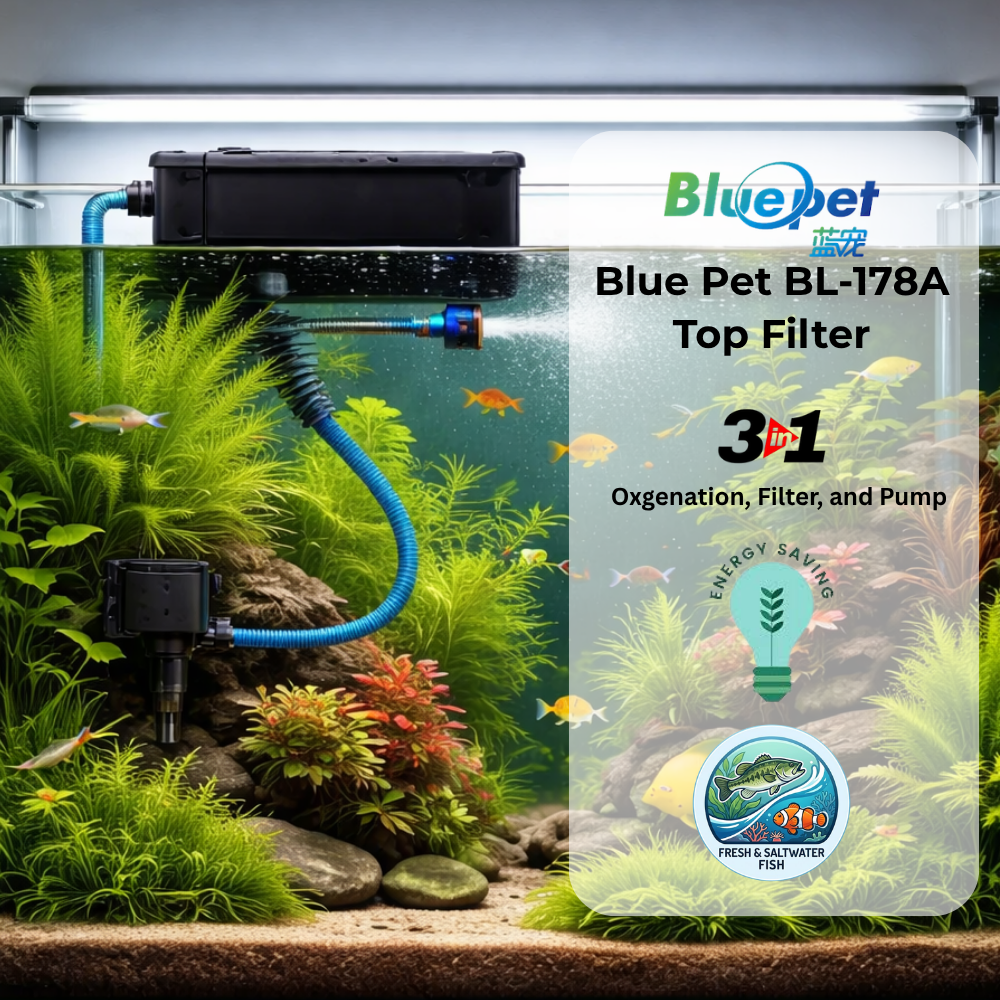 BLUEPET BL-178A 3-in-1 Aquarium Top Filter | Saves Space | Easy to Clean & Maintain | Improves Oxygen Levels