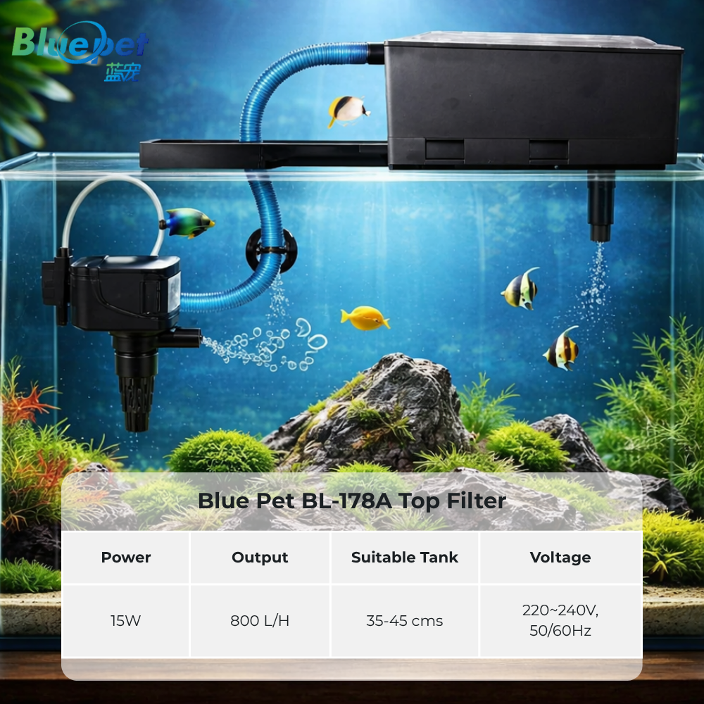 BLUEPET BL-178A 3-in-1 Aquarium Top Filter | Saves Space | Easy to Clean & Maintain | Improves Oxygen Levels