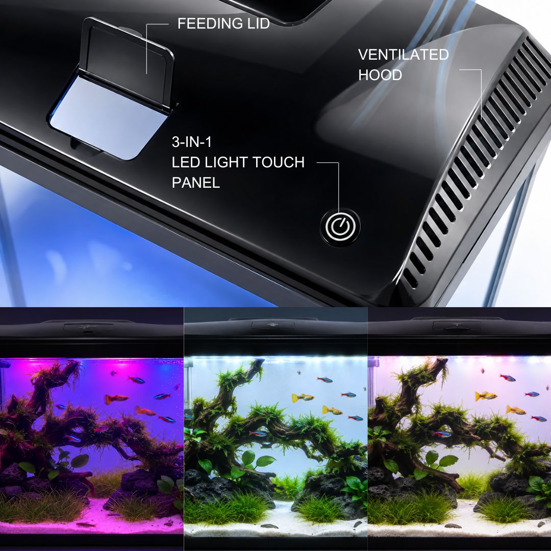 SUNSUN XHR-600 Hot-Bent Glass Aquarium Tank | 76 Ltr Capacity | Built-in Filtration | Adjustable Lighting & Brightness