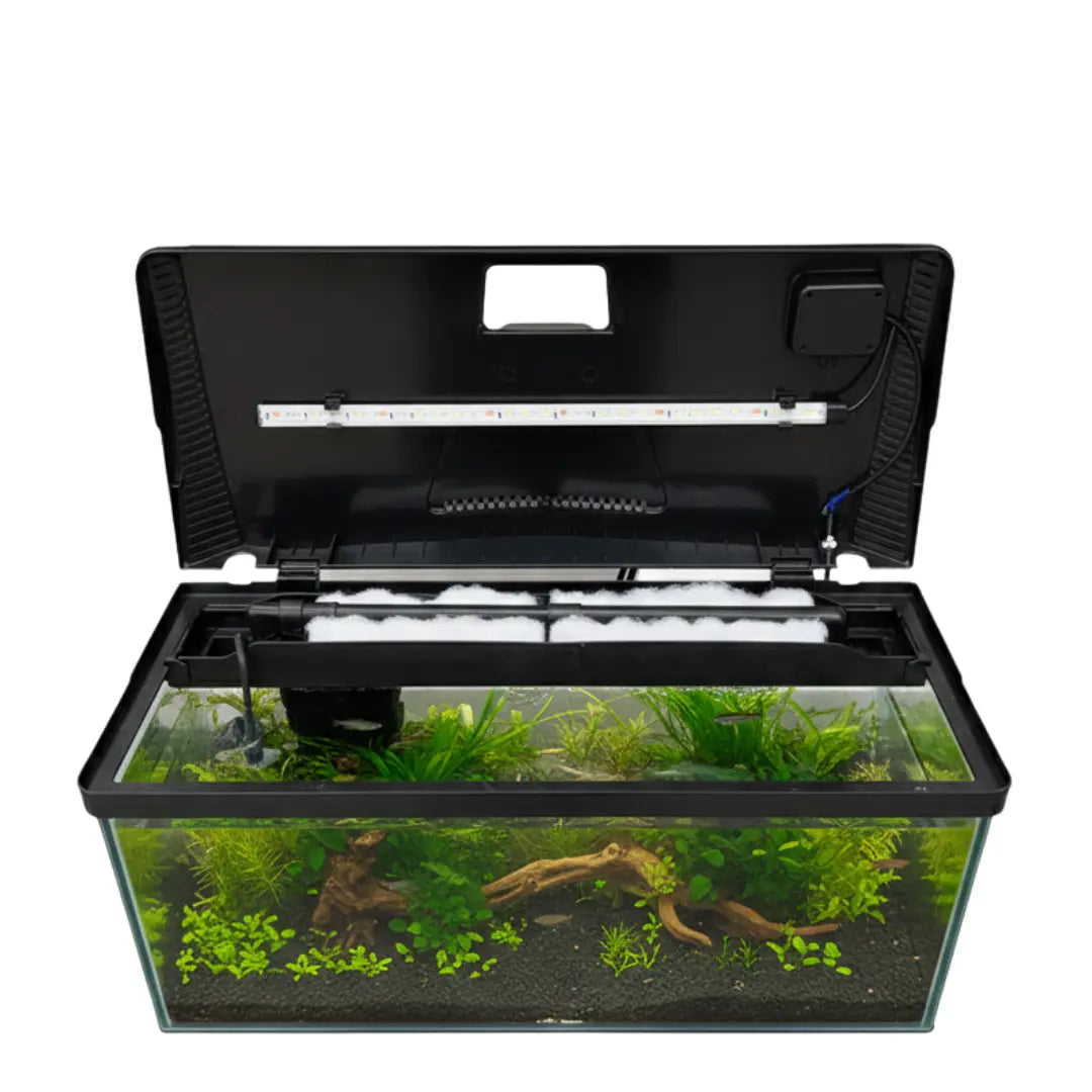 SUNSUN XHR-600 Hot-Bent Glass Aquarium Tank | 76 Ltr Capacity | Built-in Filtration | Adjustable Lighting & Brightness