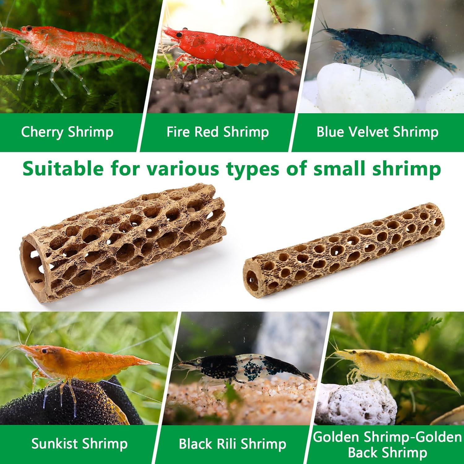 HYGGER HC020 Cholla Wood Aquarium Ornament (Pack of 2) | No-Fade Resin | Multiple Hiding Spots | Safe For Fish & Shrimp