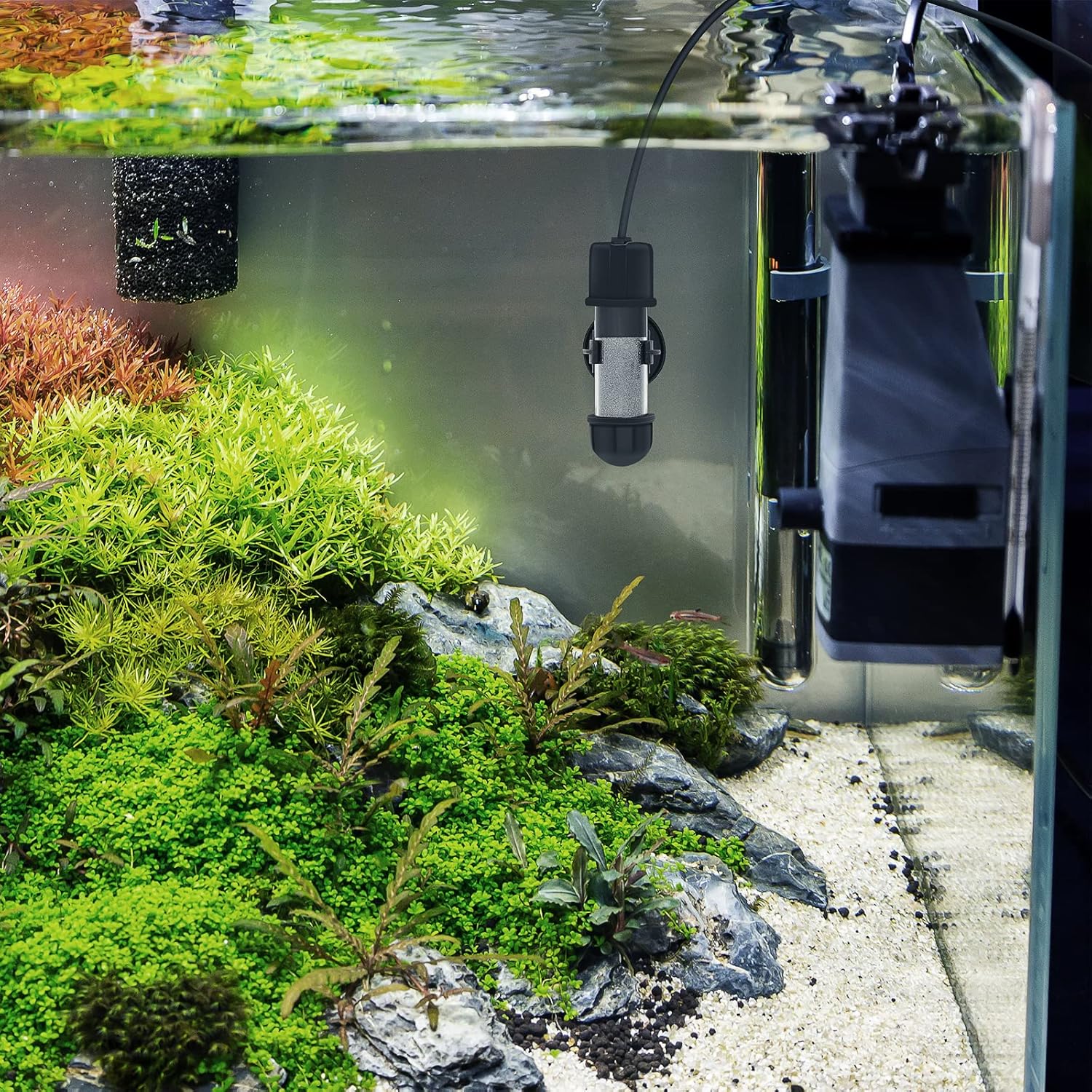 HYGGER HG031-10W Mini Fish Tank Heater | Dry Run/Overheat Protection | External Controller | LED Display