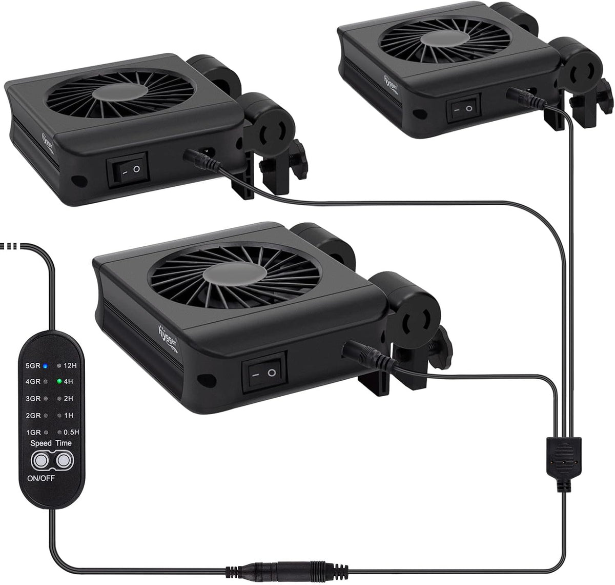 3 FANS