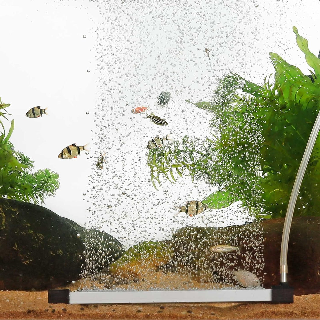 HYGGER HG069-20 Aquarium Bubbler Air Stone Bar Kit | Ultra-Fine Mist Bubbles | Durable Construction | Complete Kit