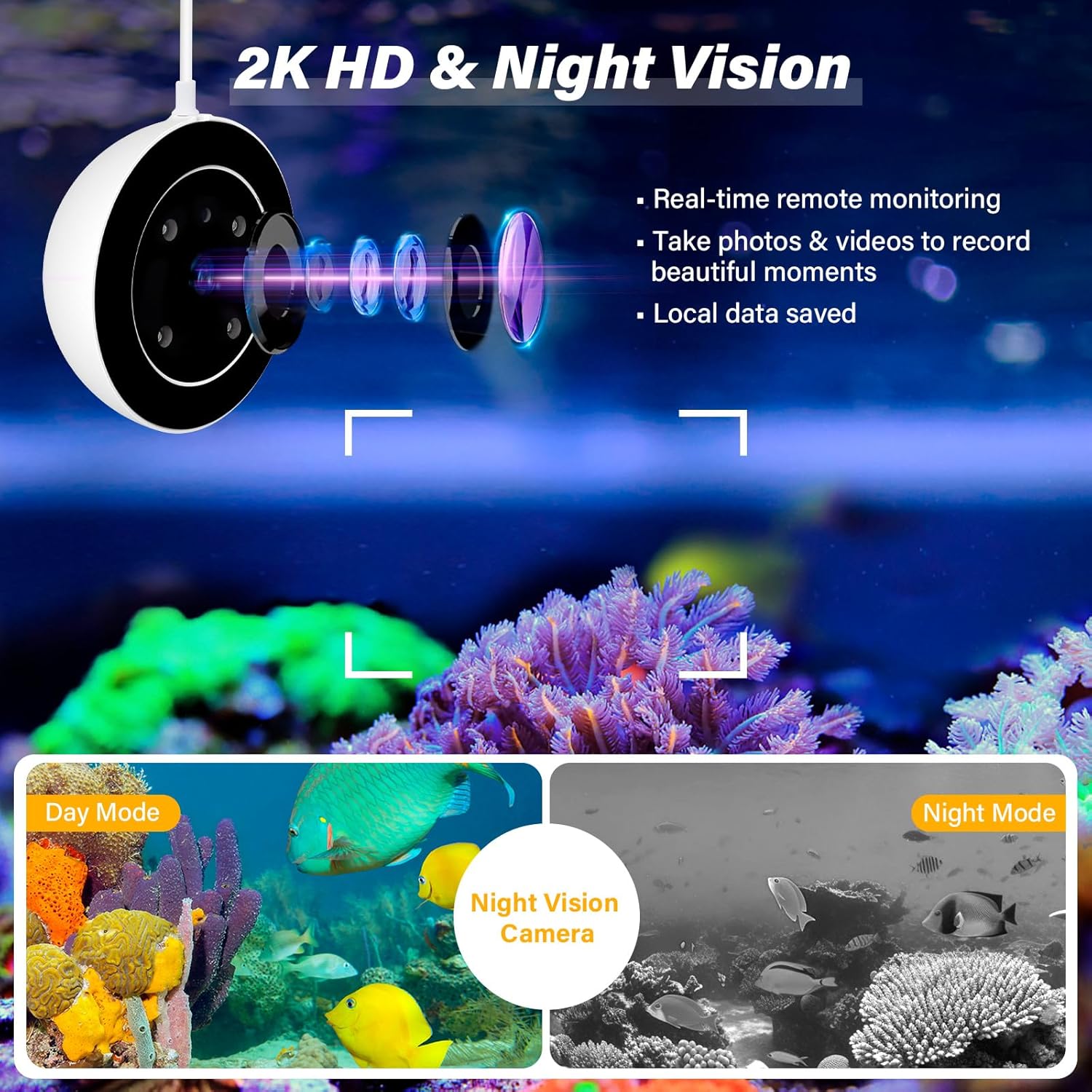 HYGGER HG082 SmartFeeder ProCam+ | Manual & App Control | 2k HD Camera with Night Vision | Type-C | 230ml Capacity