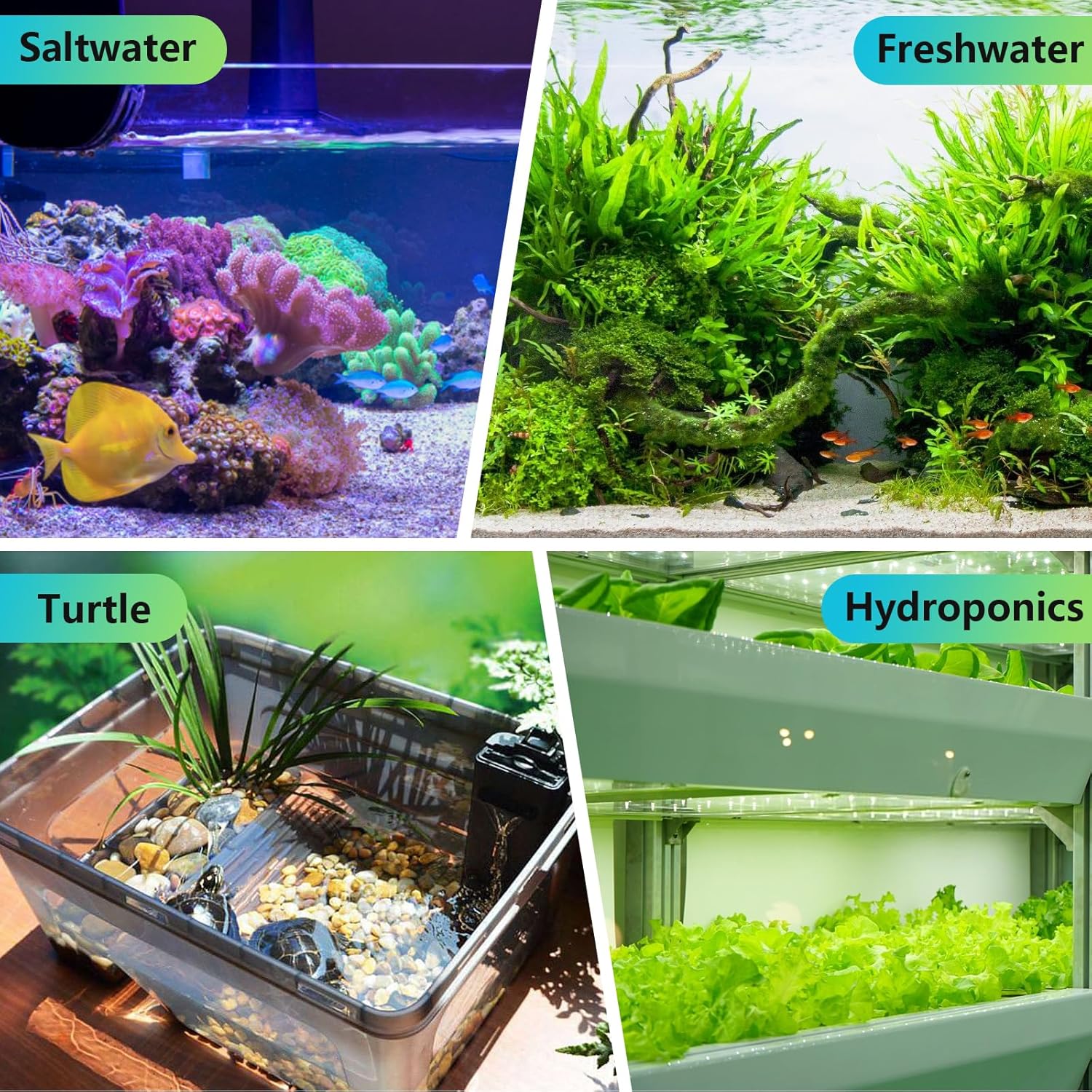 HYGGER HG102 Explosion Proof Quartz Glass Aquarium Heater | External Temperature Controller | High Accuracy (200W)