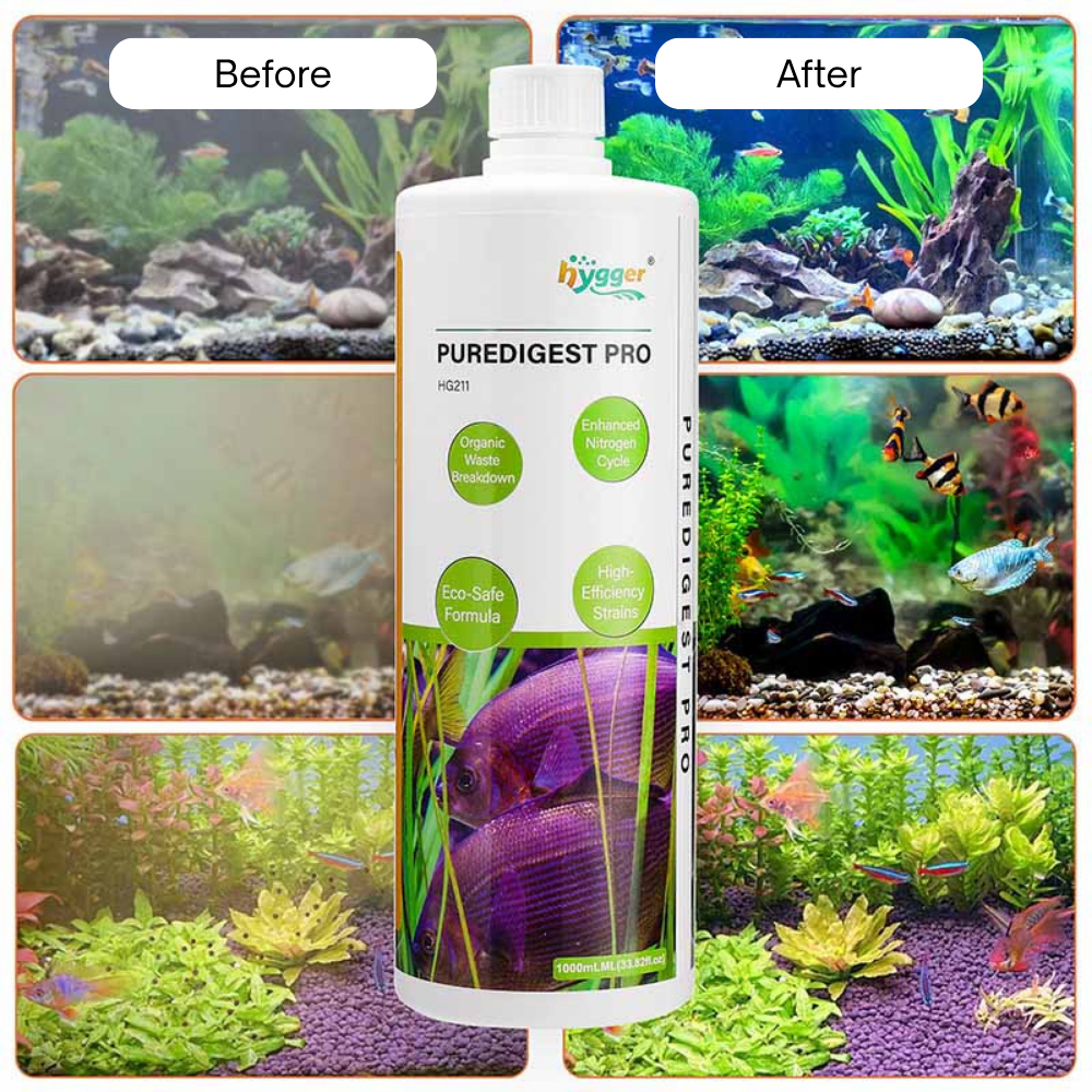 HYGGER HG211 Aqua PureDigest Pro | Organic Waste Breakdown | Enhanced Nitrification | Maintains Healthy Ecosystem
