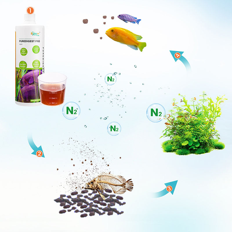 HYGGER HG211 Aqua PureDigest Pro | Organic Waste Breakdown | Enhanced Nitrification | Maintains Healthy Ecosystem