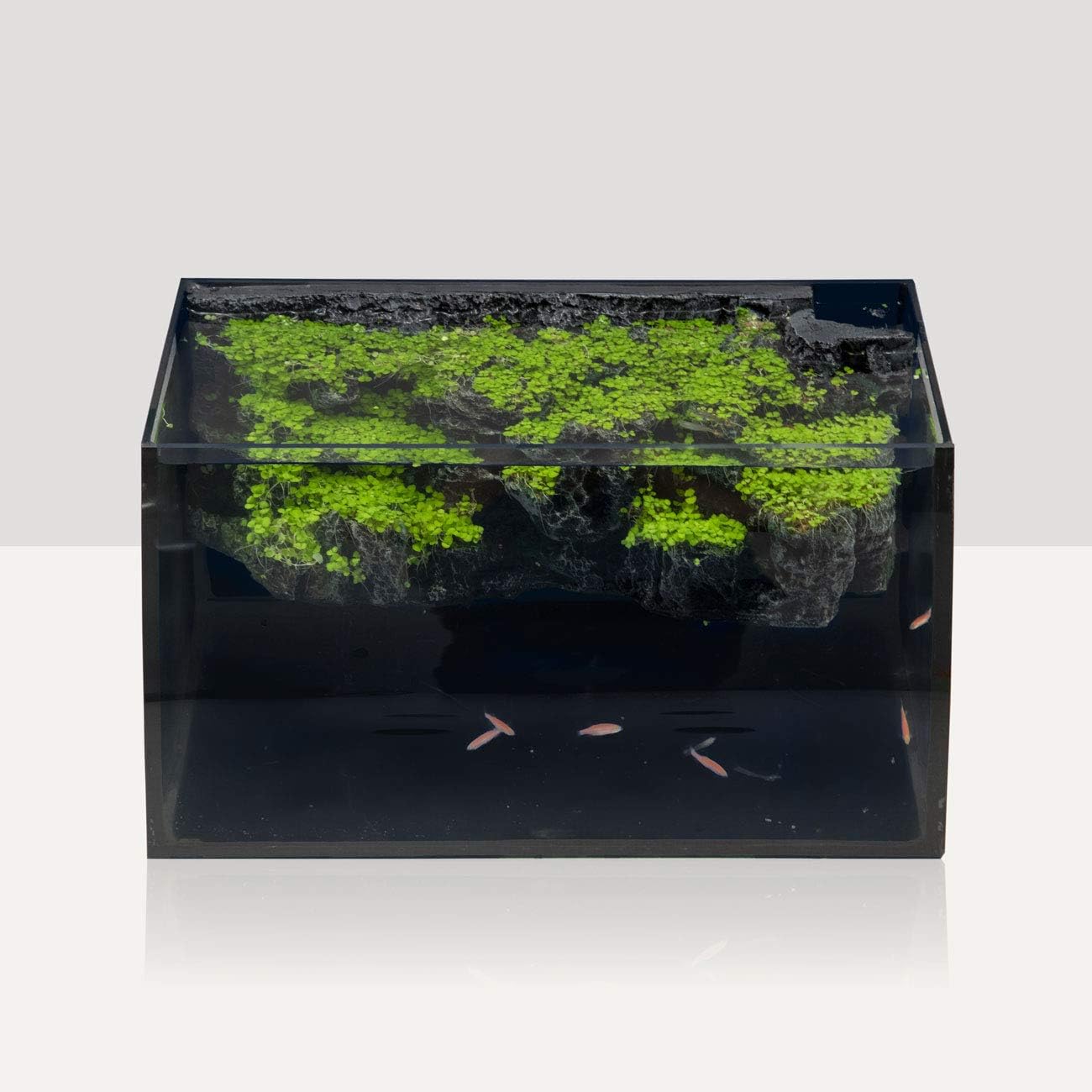 HYGGER HG906 LED Curved Glass Aquarium Kit | Built-in 3D Rockery Background | 3 Light Modes | Quiet Internal Filter