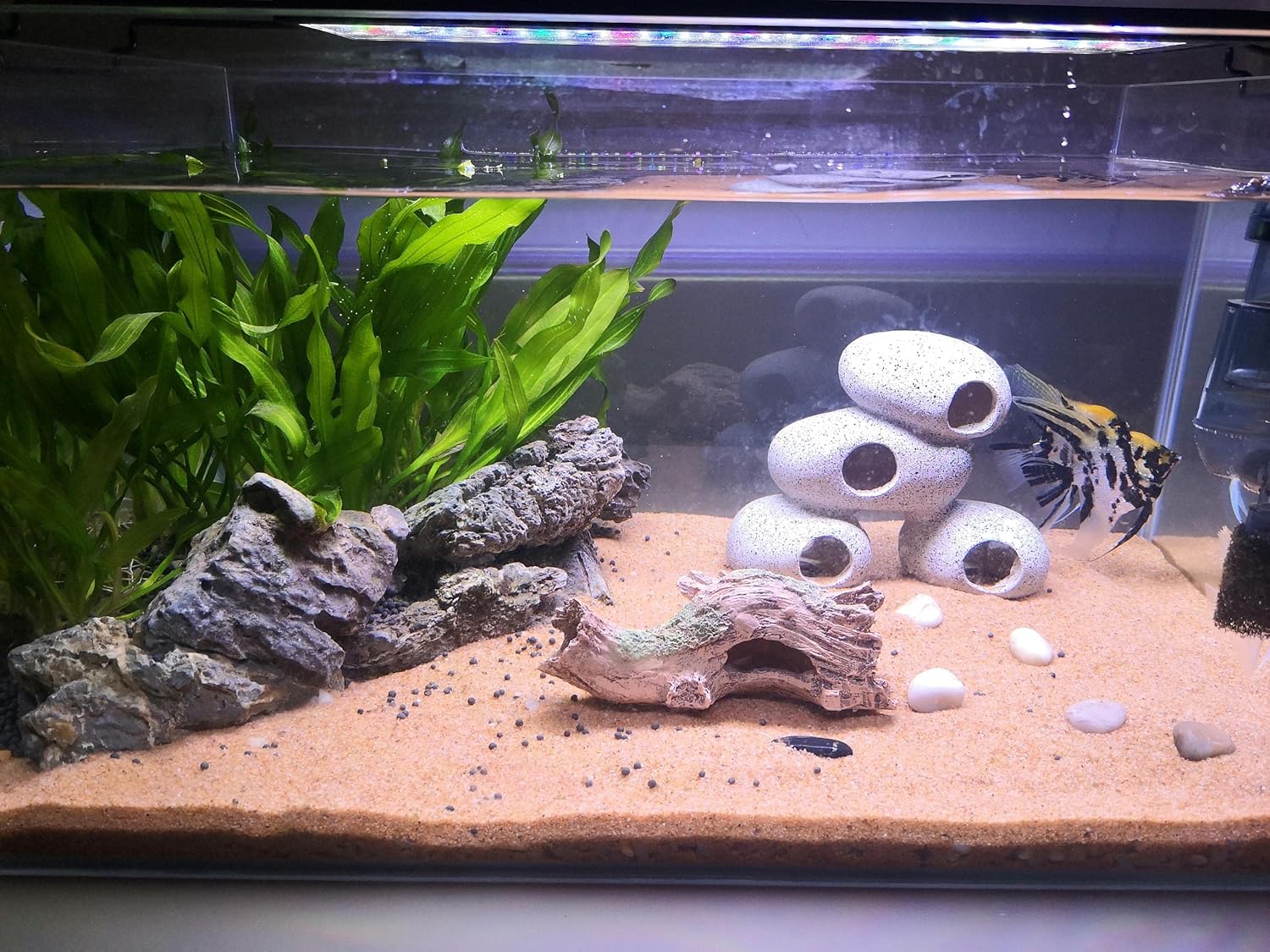 HYGGER HG910 Tunnel Log Aquarium Ornament | Realistic wood Look | Non-Toxic & Odorless | Natural Hiding & Resting Spots