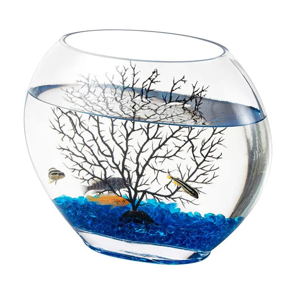 HYGGER HG975 Mini Glass Oblate Fish Bowl Kit | 5mm Glass | Blue Stones & Tree Decor | 3 Ltr Capacity | For Small Fishes