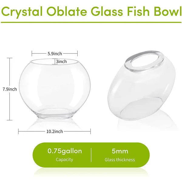 HYGGER HG975 Mini Glass Oblate Fish Bowl Kit | 5mm Glass | Blue Stones & Tree Decor | 3 Ltr Capacity | For Small Fishes