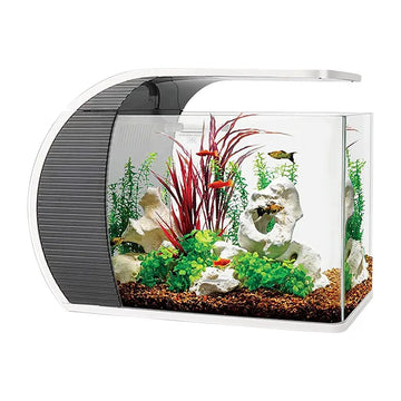 HYGGER HG977 19-Litre Fish Aquarium Starter Kit | Touch Control 3-in-1 LED | Built-in Filtration System | Media Included