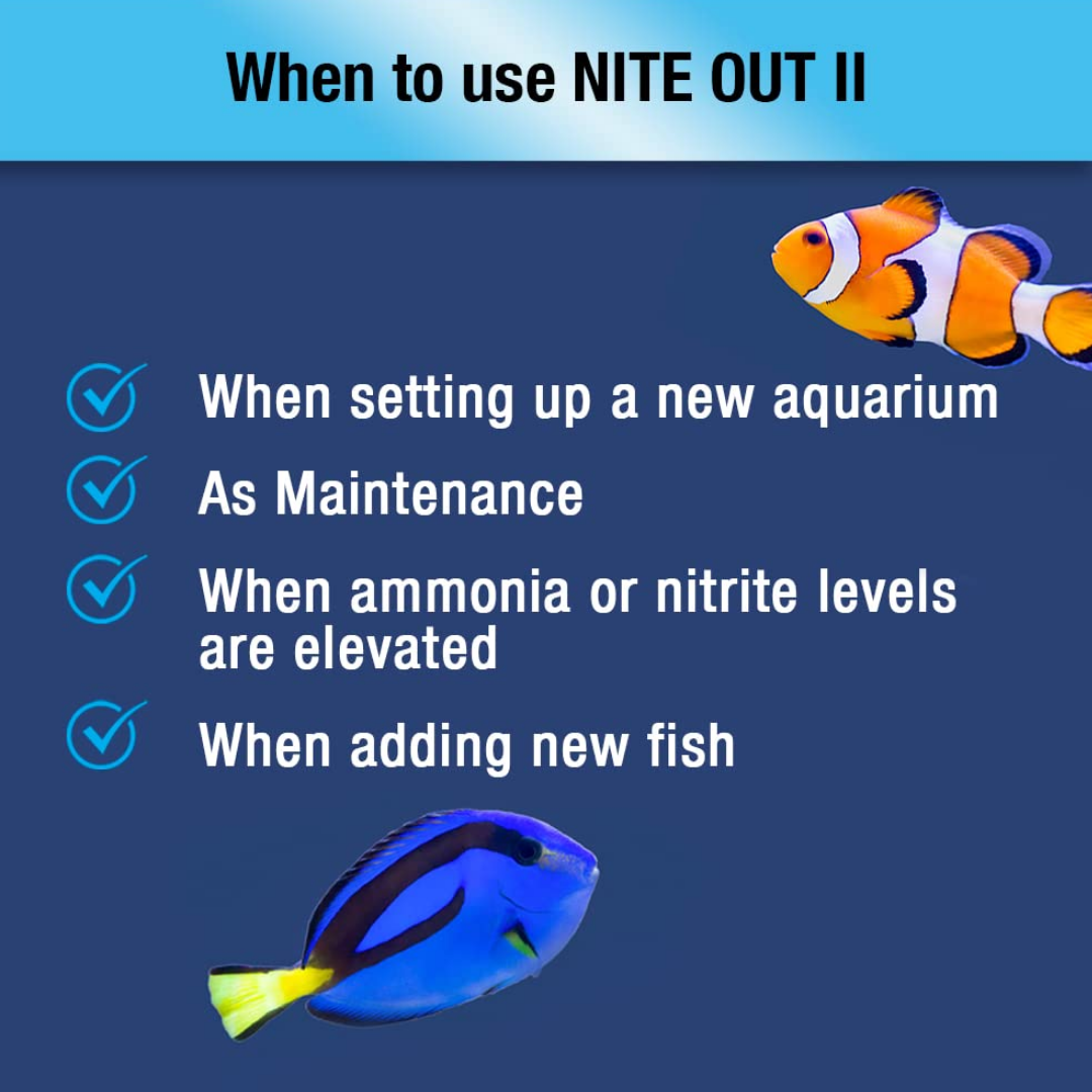 NITEH04