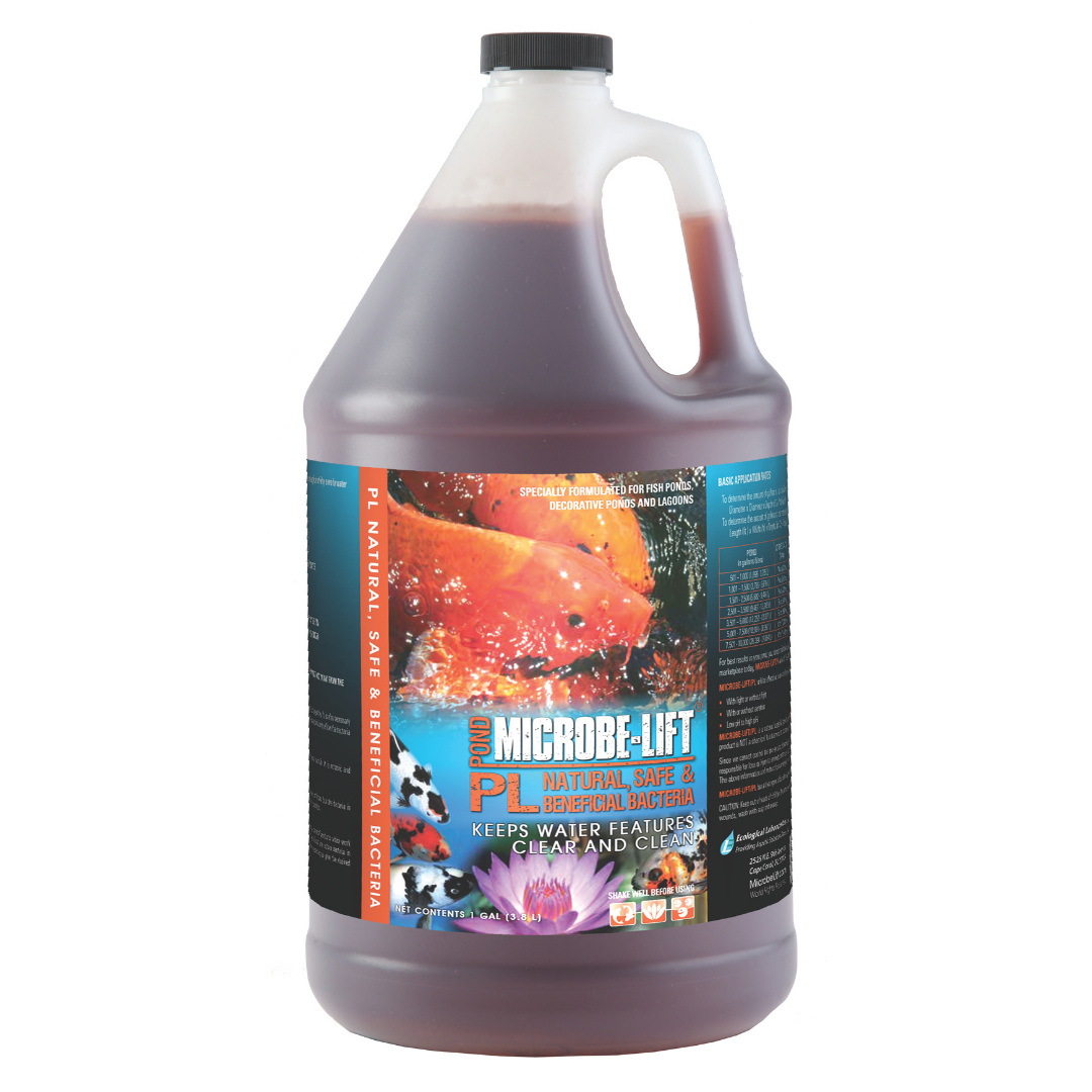 MLPLG1