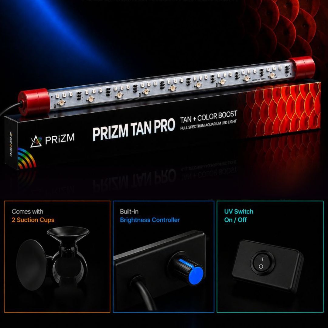 PRIZM PZ-03 TAN PRO Submerible Aquarium LED Light | True Tanning with UVA | Color Boost | 6500K | Adjustable Brightness