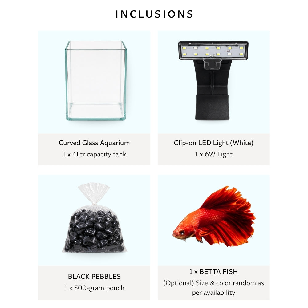 Mini Curved Glass Aquarium Tank Set | SFlora Clip-on LED Light (6W) | Black Pebble Pouch | Betta Fish (Optional)