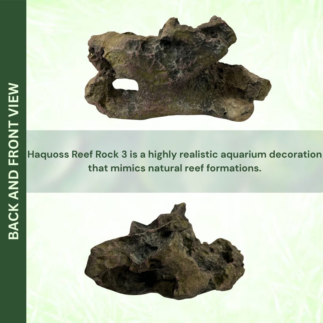 HAQUOSS HAQ-RR Reef Rock Aquarium Ornament | Non-Toxic Resin | For Natural Aquascape/Hardscape | Safe For Fishes