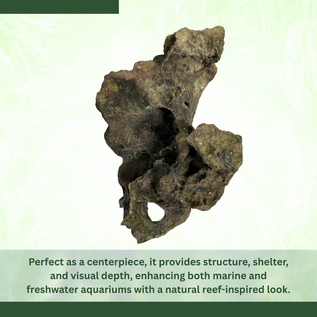 HAQUOSS HAQ-RR Reef Rock Aquarium Ornament | Non-Toxic Resin | For Natural Aquascape/Hardscape | Safe For Fishes
