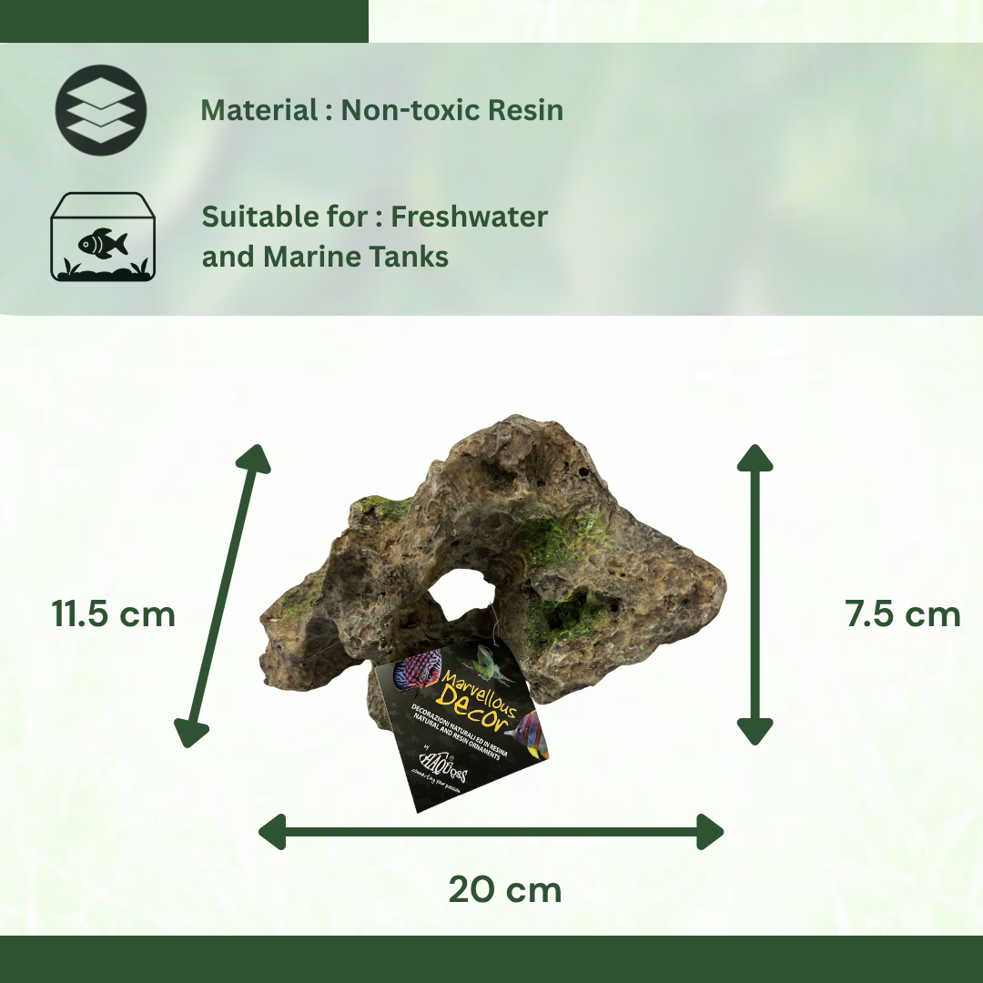 HAQUOSS HAQ-TR Tanganikyan Rock Aquarium Ornament | Non-Toxic Resin | For Natural Aquascape/Hardscape | Safe For Fishes