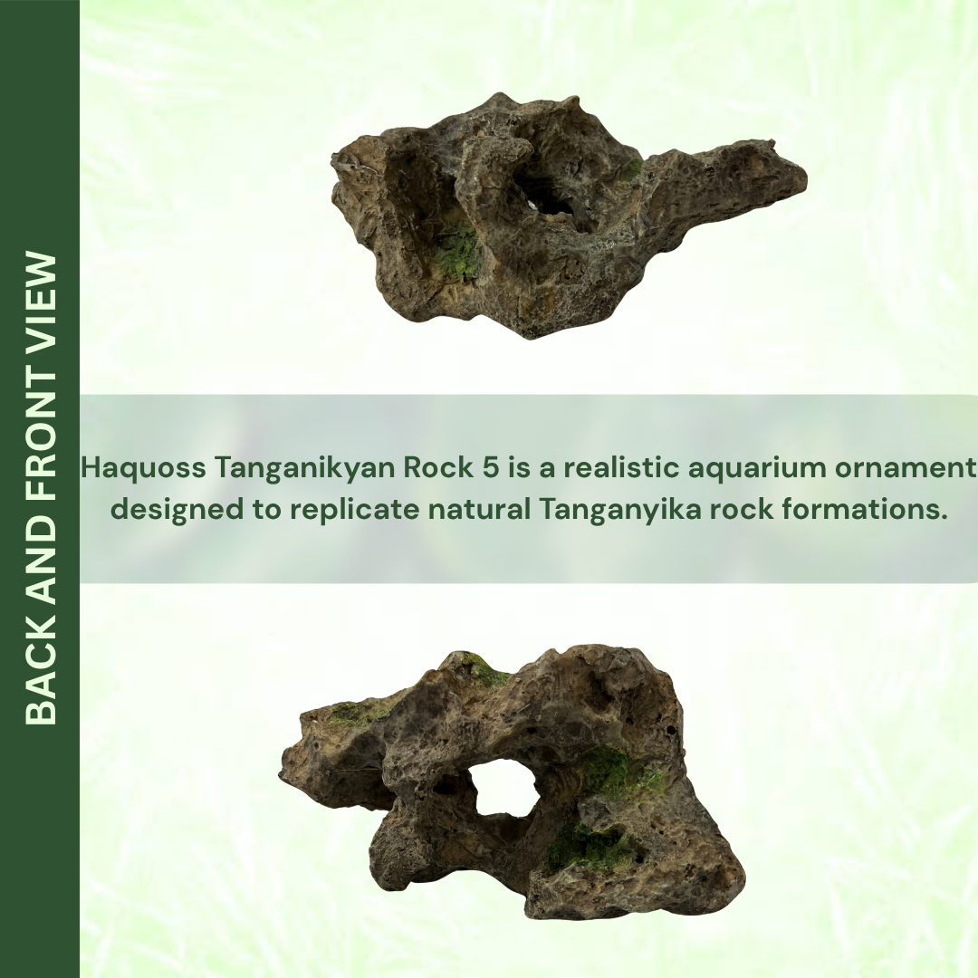 HAQUOSS HAQ-TR Tanganikyan Rock Aquarium Ornament | Non-Toxic Resin | For Natural Aquascape/Hardscape | Safe For Fishes