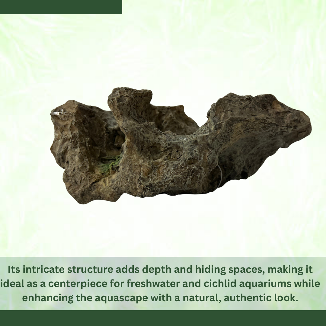 HAQUOSS HAQ-TR Tanganikyan Rock Aquarium Ornament | Non-Toxic Resin | For Natural Aquascape/Hardscape | Safe For Fishes