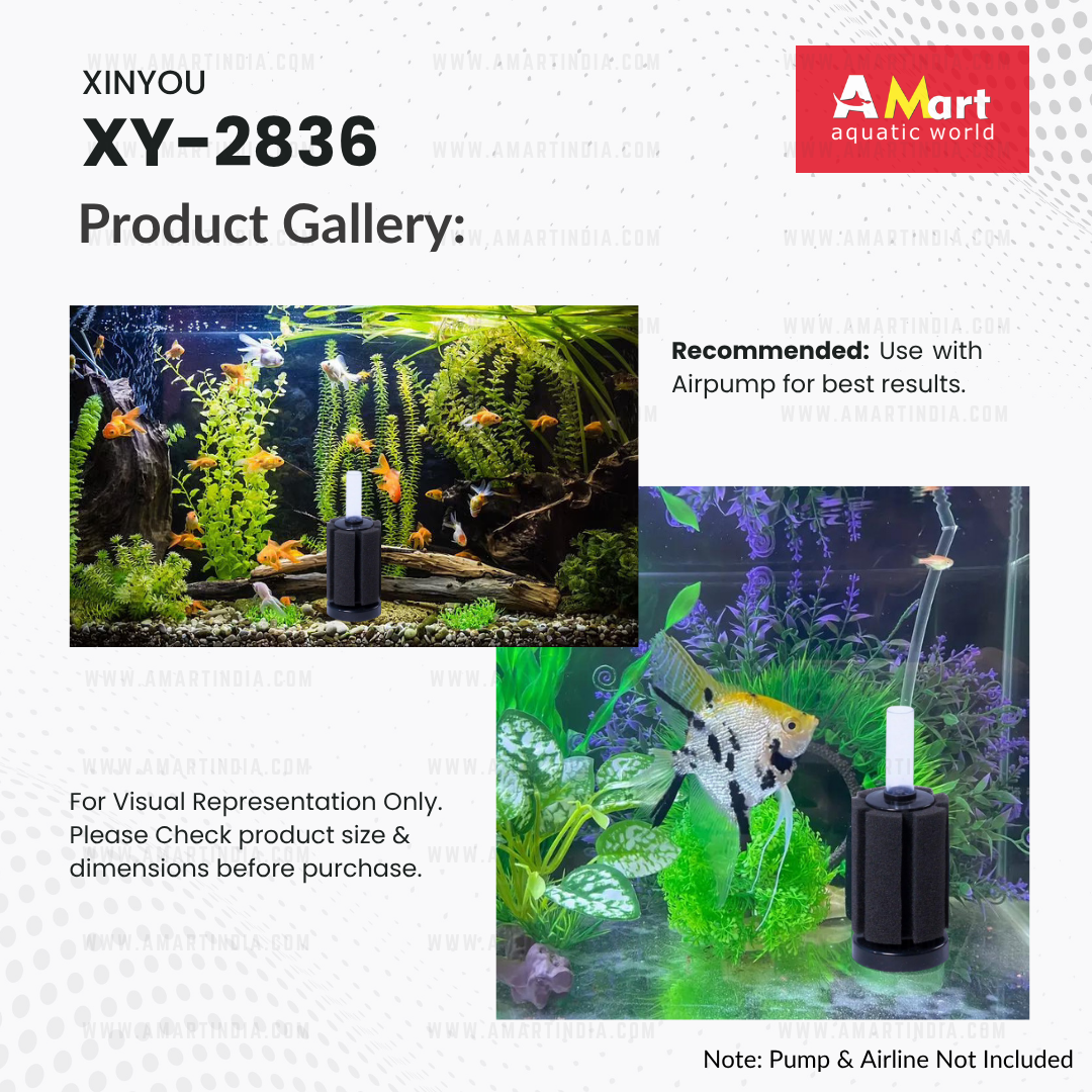 XINYOU XY-2836 Aquarium Sponge Filter | Mechanical + Biological Filtration | Anti-Float Design | High-Quality Sponge