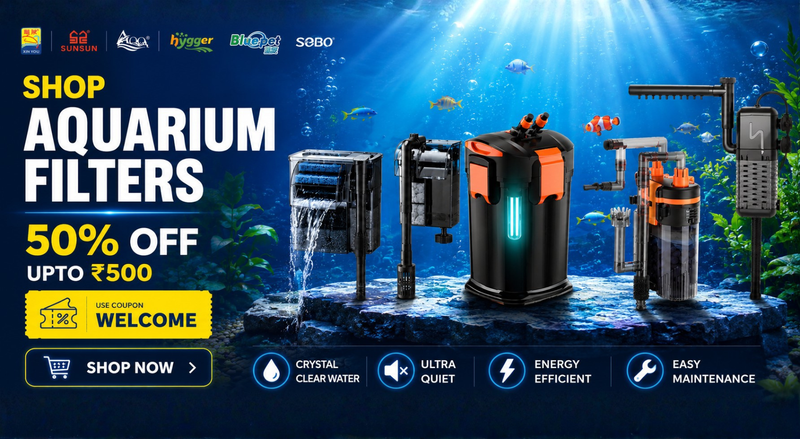 promo banner