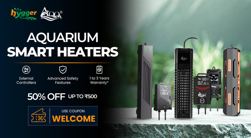 promo banner