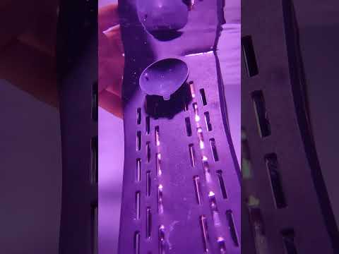 HYGGER HG113 Submersible Fish Tank Heater | External Temperature Controller | Uniform Heat Dissipation | Safety Features