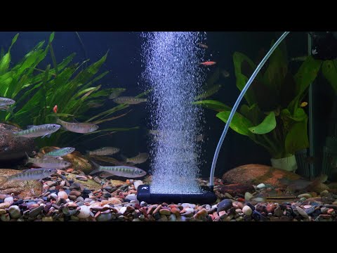 HYGGER HG093-14 Non-Clogging Fish Aquarium Air Stone | EVA Material | Ultra-Fine Mist Bubble Aeration