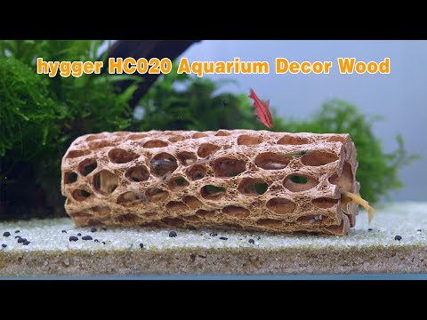 HYGGER HC020 Cholla Wood Aquarium Ornament (Pack of 2) | No-Fade Resin | Multiple Hiding Spots | Safe For Fish & Shrimp