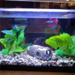 HYGGER - HG-912,  Tree Trunk Aquarium Ornament