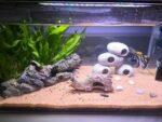 HYGGER - HG-910, Tree Trunk Aquarium Ornament