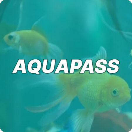AQUAPASS - 365 Days Premium Membership to AMart Aquatic World