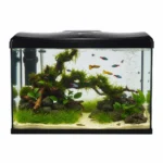 BOYU EC-600 Curved Glass Aquarium Tank with 3-in-1 LED, Top Filter and Powerhead