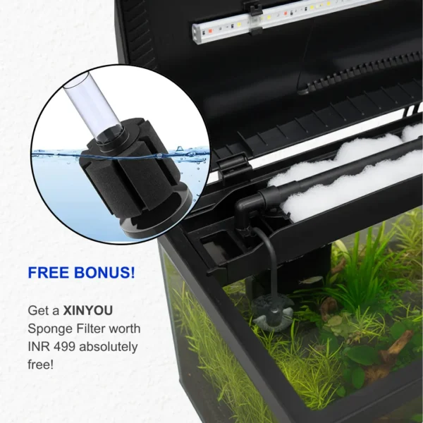 BOYU EC-600 Curved Glass Aquarium Tank with 3-in-1 LED, Top Filter and Powerhead