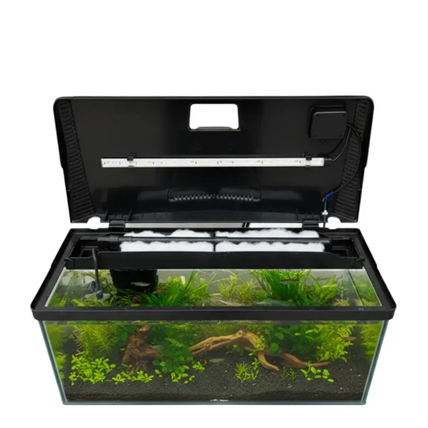 BOYU EC-600 Curved Glass Aquarium Tank with 3-in-1 LED, Top Filter and Powerhead